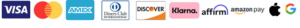 payment icon